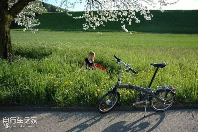 大行经济实惠折叠车,创新是发展的根本目的吗