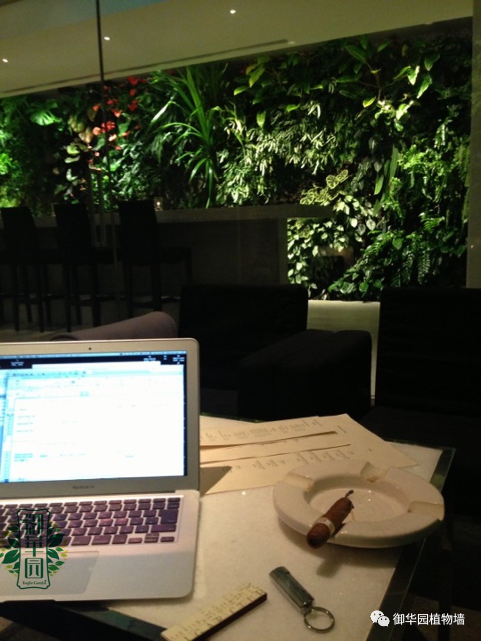 养花养眼养心解乏,卧室养花推荐高级植物