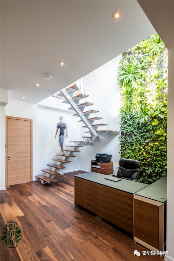 植物墙居家,特色植物墙