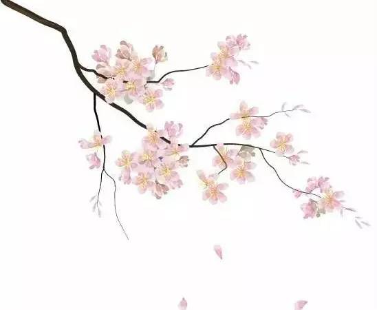 3.15丨我想,我可能遇到了一群“假”的消防员