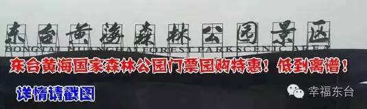 东台市劳动模范奖金,东台市2017先进个人表彰通报