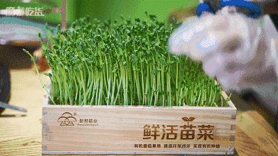 前方高能！魔都首家生态火锅店，在阳光房里吃出今年流行色~