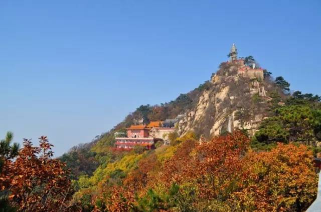 别去韩国了，去了天津，就等于去了全世界，不信你看！