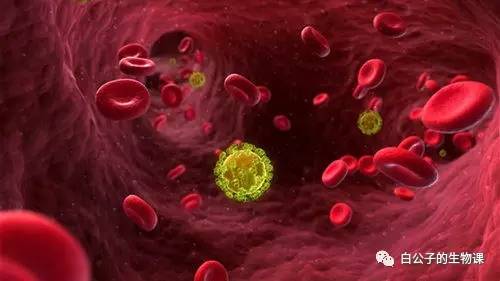 最致命的病菌有哪些,世界上最危险的病菌