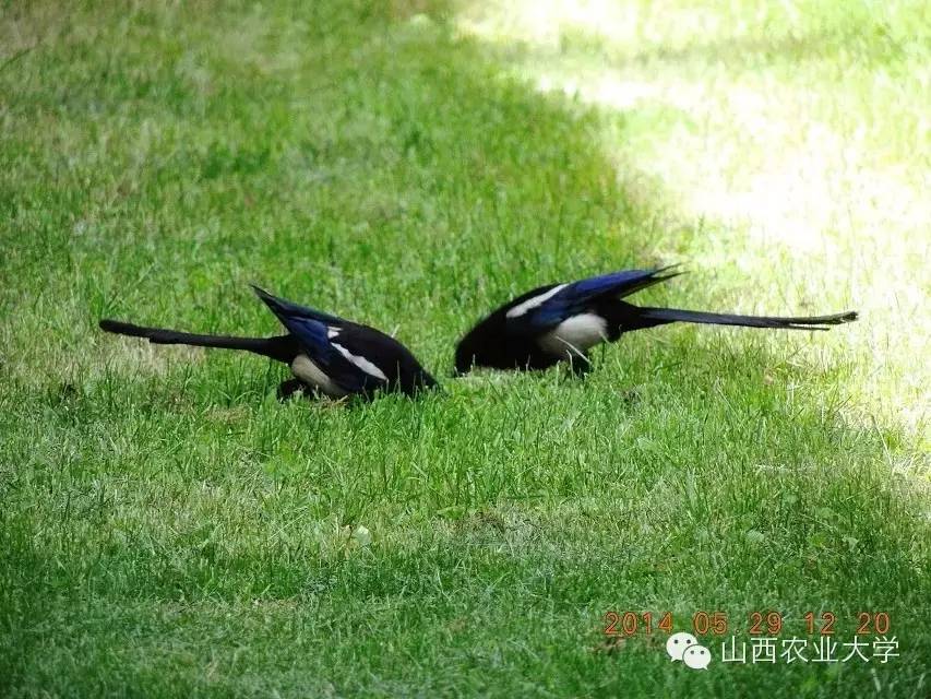 三个月后，这个故事将迎来大结局