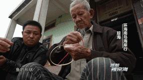 巡航祖宗海,巡航祖宗海纪录片