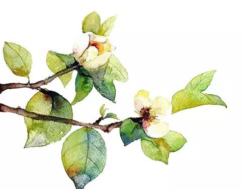 2020年国家公派研究生项目录取,国家公派留学研究生项目