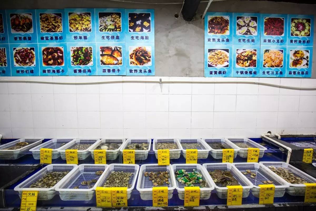 大连海洋馆搬运动物,大连海鲜搬运工