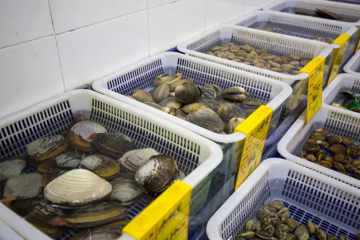 大连海洋馆搬运动物,大连空运的海鲜