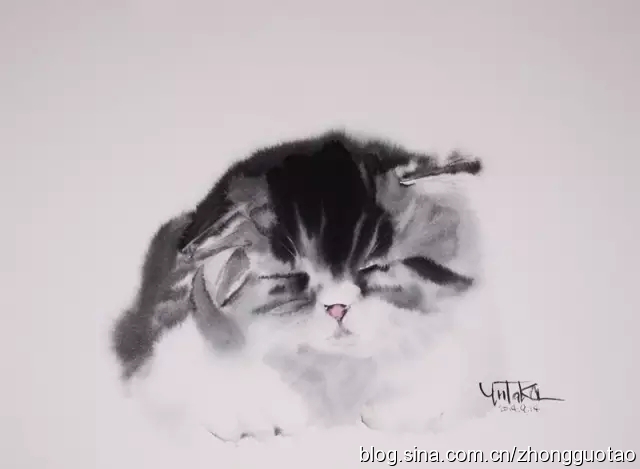 国画水墨写意猫,中国画水墨画猫