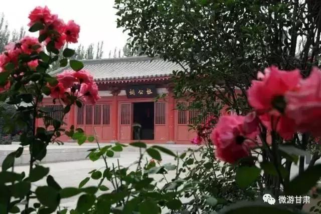 甘肃陇南成县最好玩的地方,陇南大美成州全景图