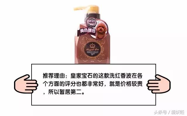 爱妖经｜“网红”还不够，更要实力派