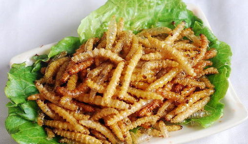 一些奇奇怪怪的虫子美食,各种虫子美食大总结