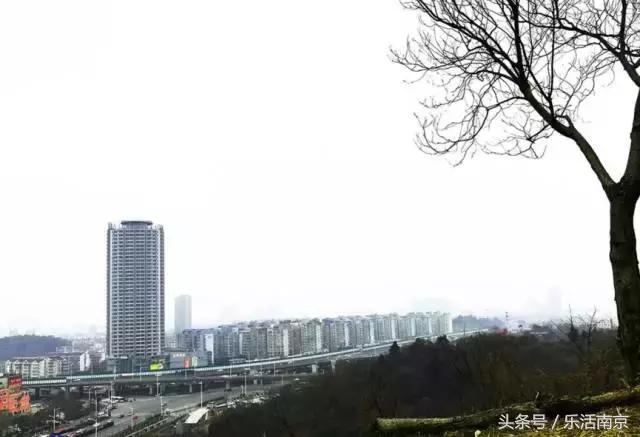 南京免费公园免费开放日一览表,南京最大的公园排名