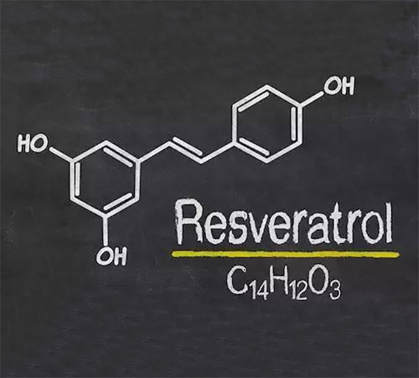 浼犵粺閰掔綉,鏂板紡閰掔綉