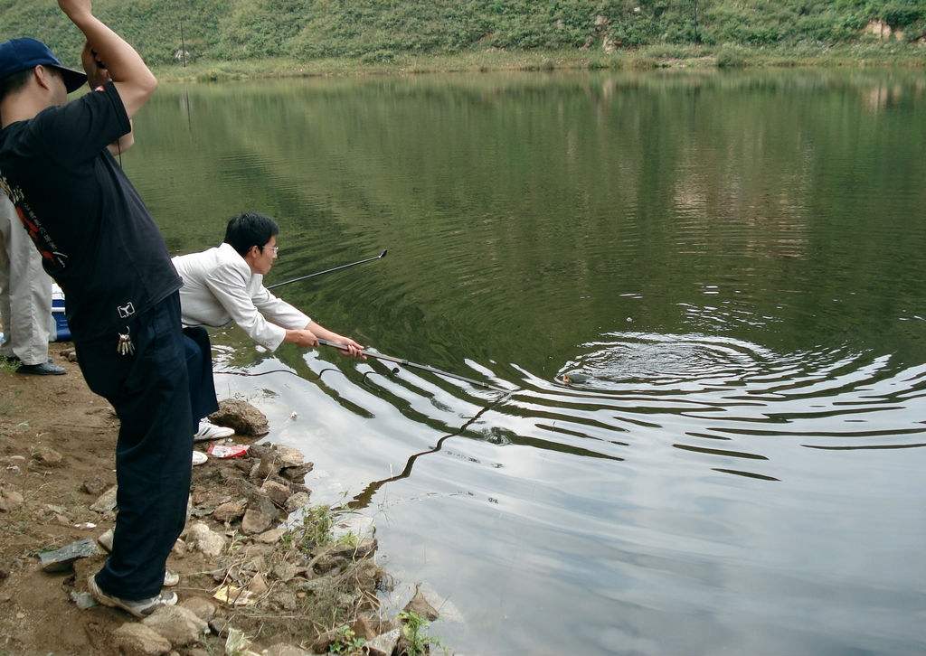 如何选择钓竿钓鱼,钓鱼新手适合用什么钓竿