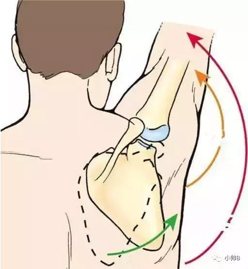 孩子圆肩驼背矫正最有效方法,胸背练多了驼背怎么改善