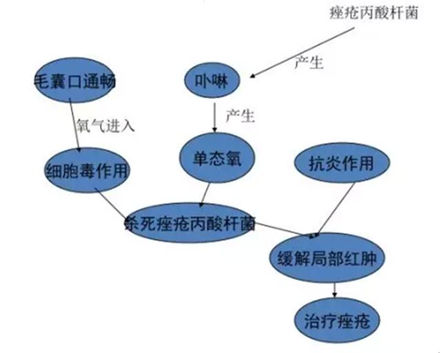 分享我的4年战痘经验,战痘能手护肤常识
