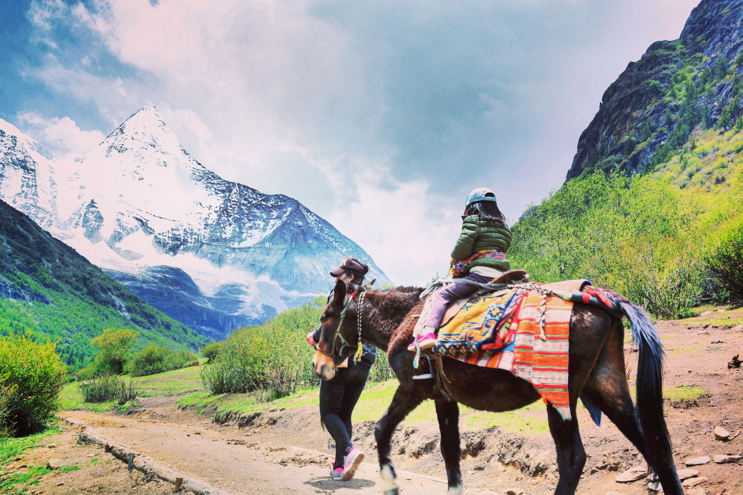 祭奠流逝的青春（五）开始找工作了