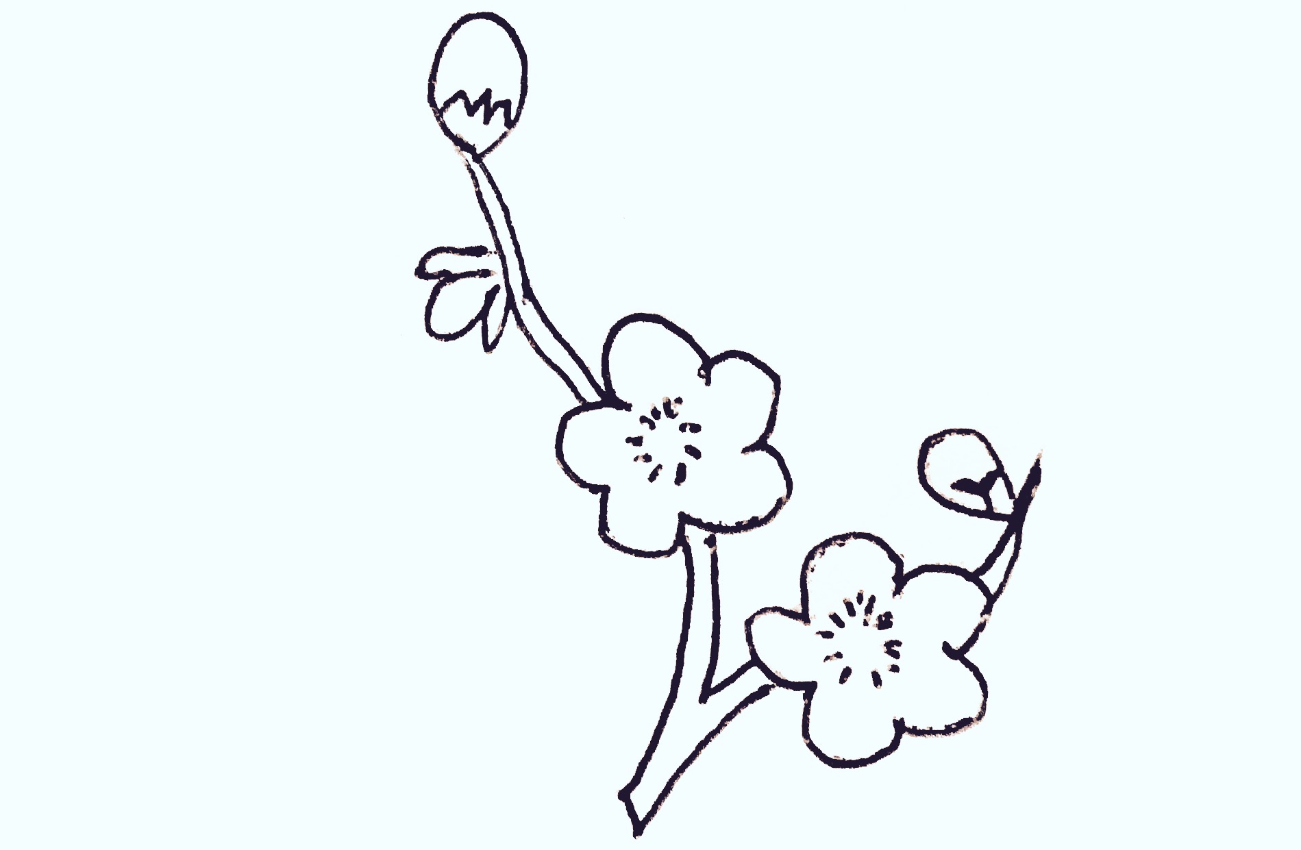 梅花13简笔画简单又漂亮迷你版,梅花画法简笔画