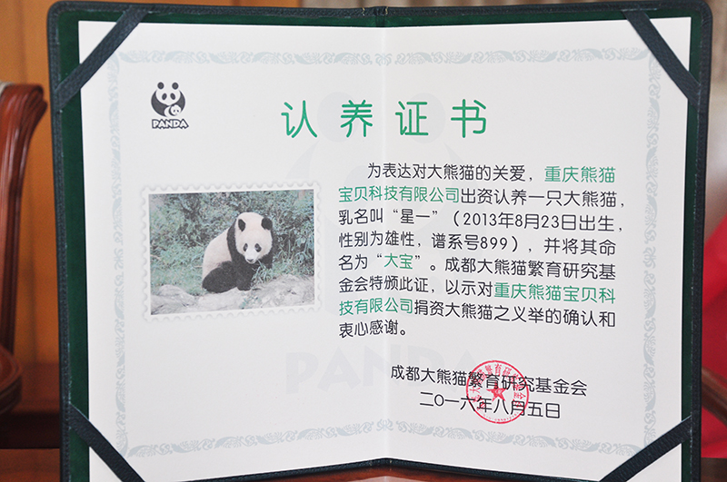 大宝国足进球集锦,国足大宝绝杀视频