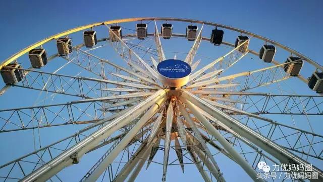 麻麻，为什么不能带我去非洲！