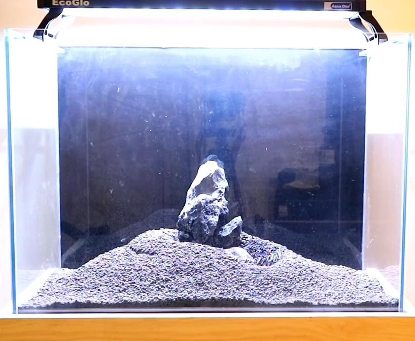 怎么会让水草泥不滑坡,水草泥防止滑坡