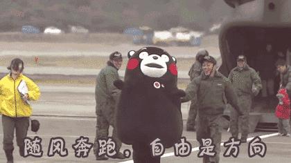 荷兰猪外出郊游,操心的事太多,其实只要做到这几点就可以了