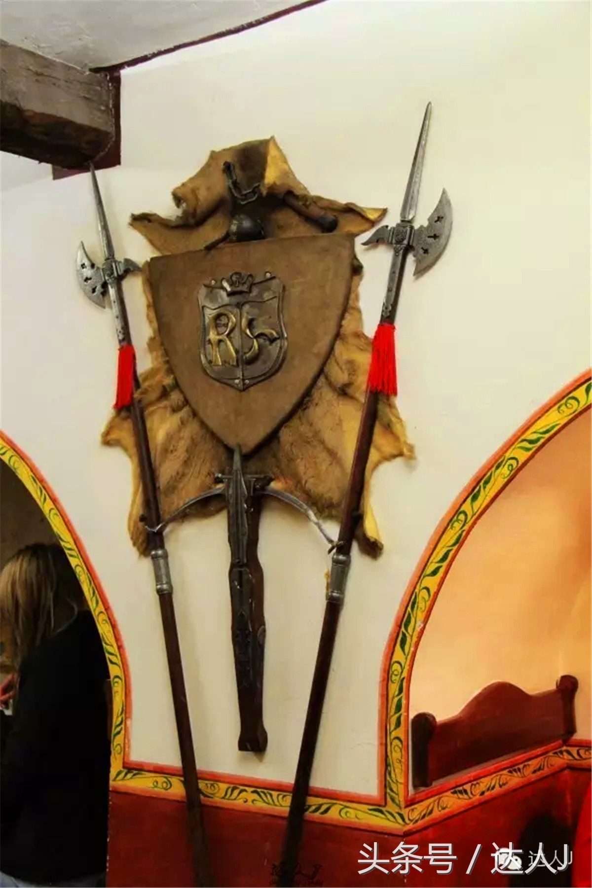 猜猜哪个国家连刺猬都有路牌？