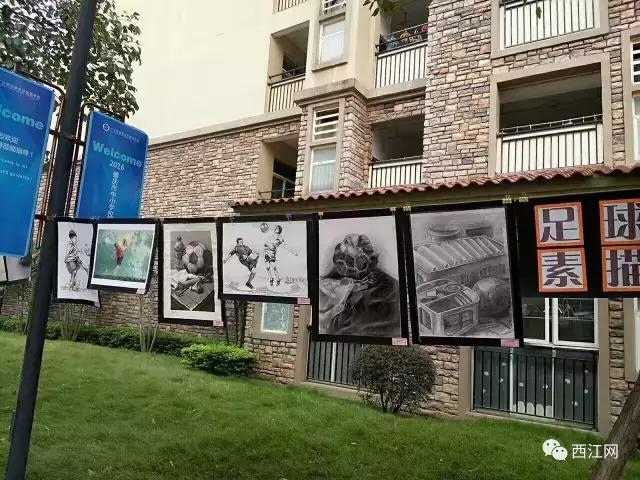 肇庆市全国特色学校,肇庆市足球特色学校