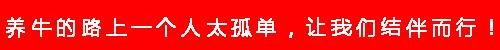 养牛的真实忠告,养牛4年的经验总结怎么写