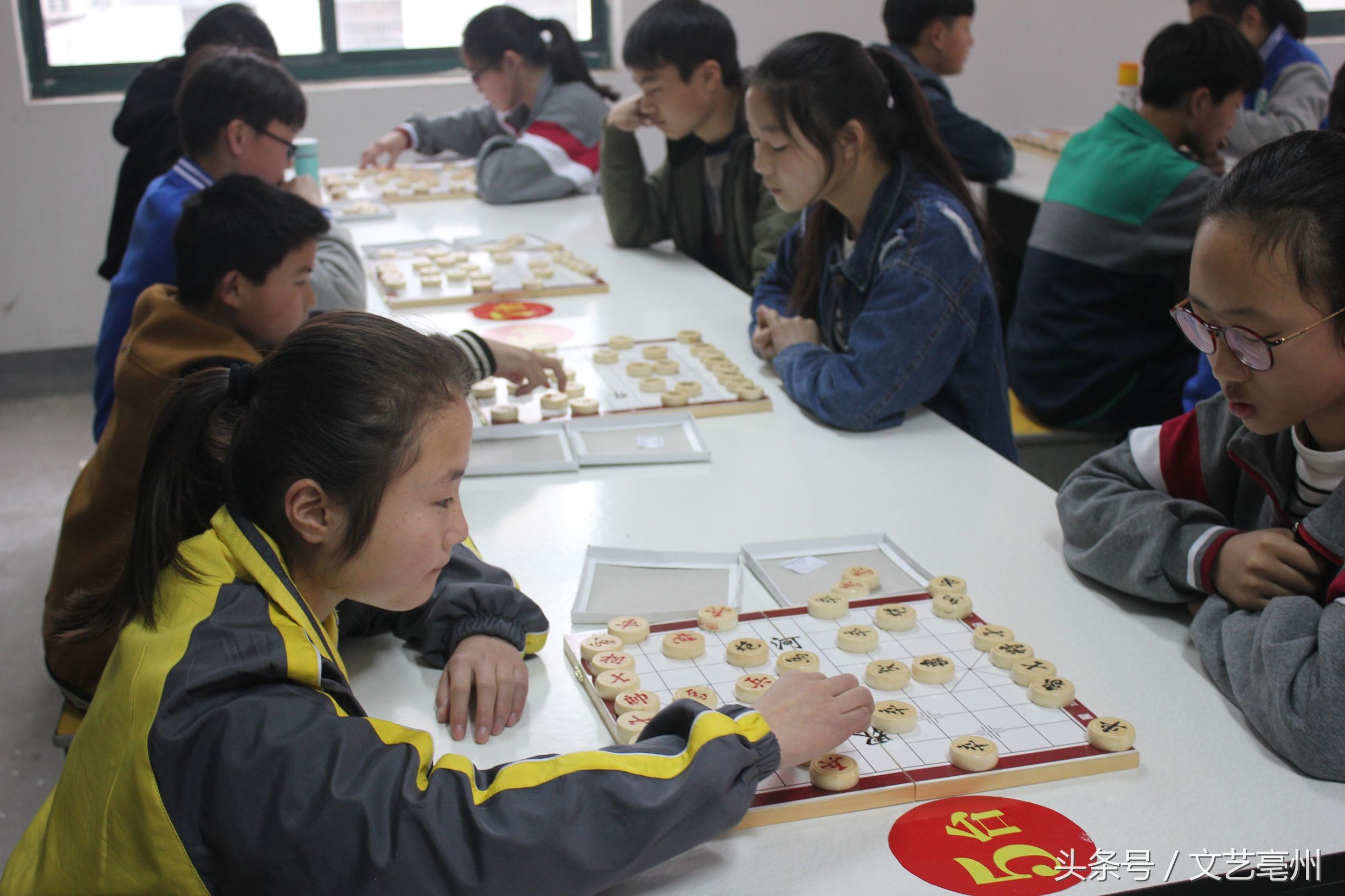 谯城区第一届中小学生跳绳联赛,亳州市首届象棋锦标赛