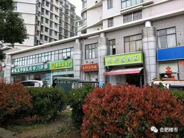 合肥最高端的楼盘探访,合肥楼市探秘