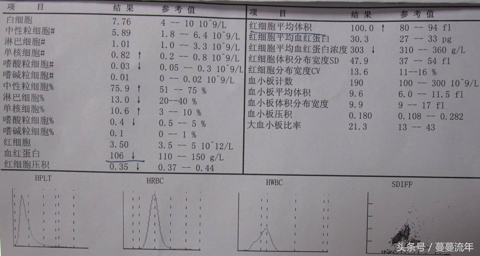 去医院看不懂血项单的进来，我教你