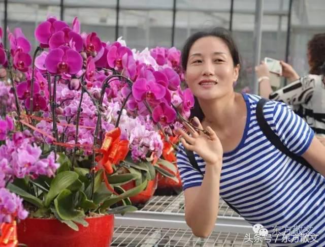 小院里的大世界,小院子大世界