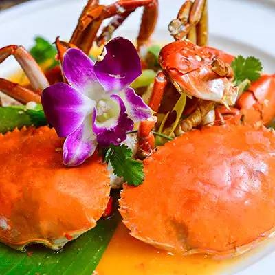 来一碗热乎乎的老鸭粉丝汤,最好吃的老鸭粉丝汤