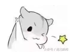 央视报道湖北新消息,中央点名湖北