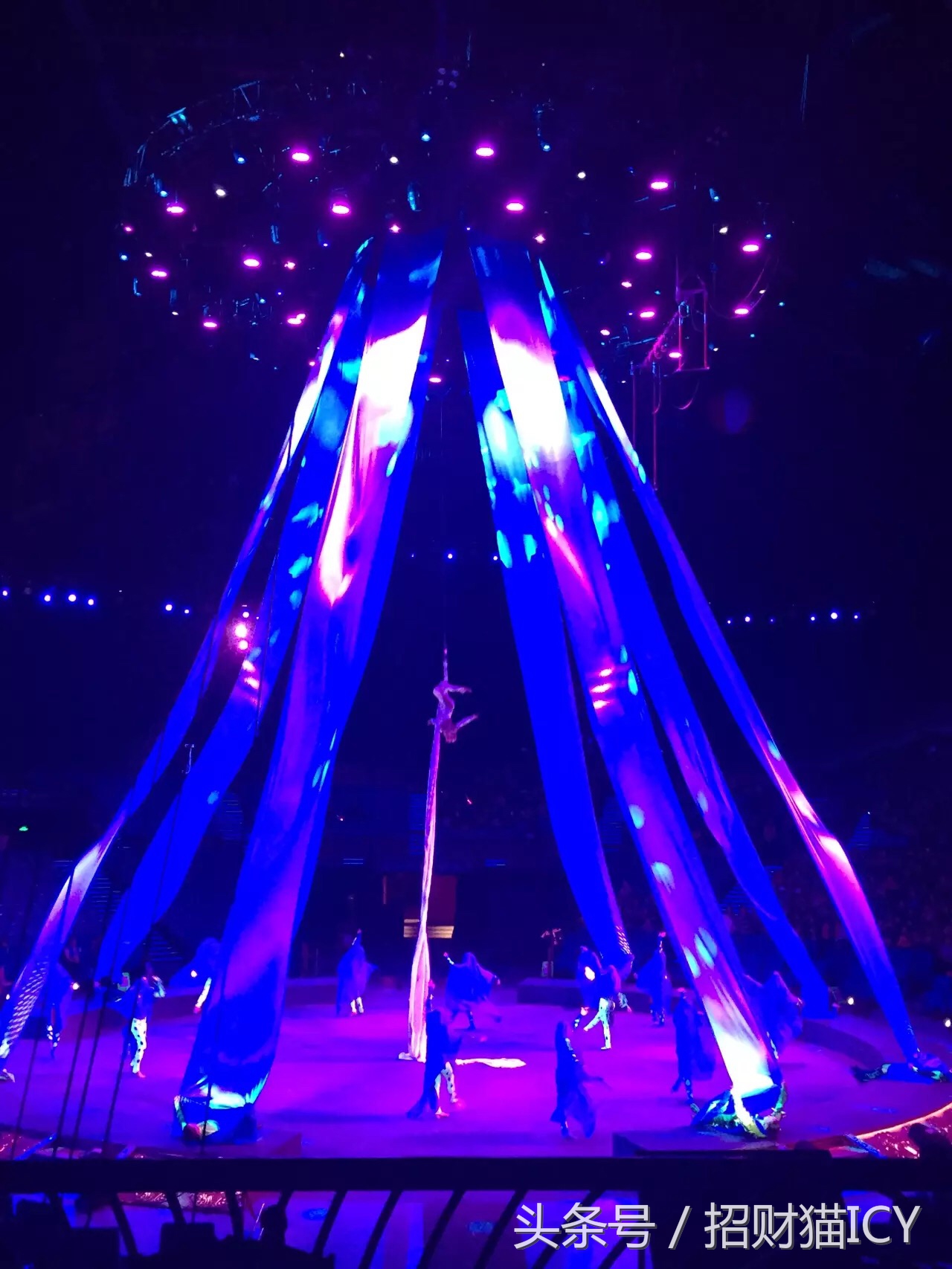 珠海长隆奇幻之旅,广州珠海长隆两天一夜攻略