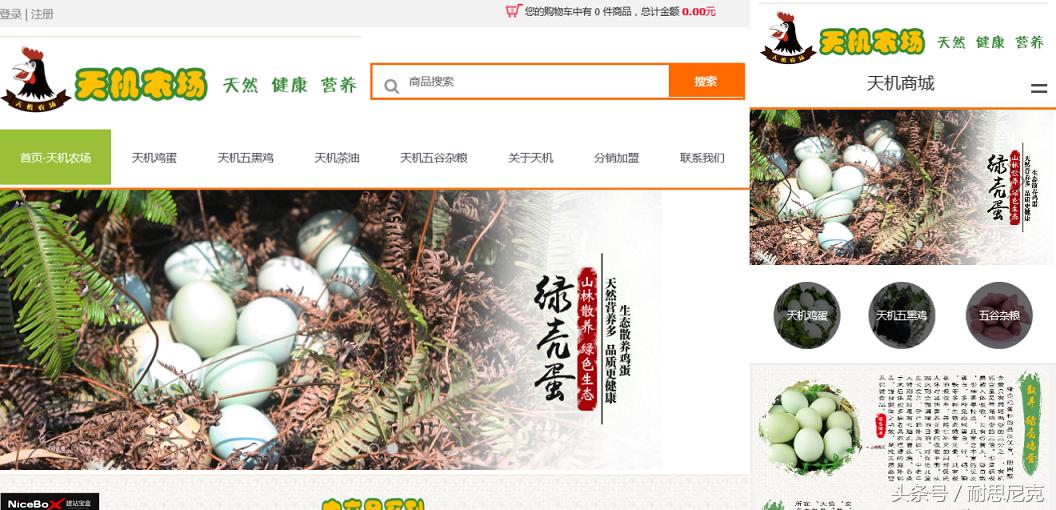 免费网站html5模板,html5营销网页模板免费下载