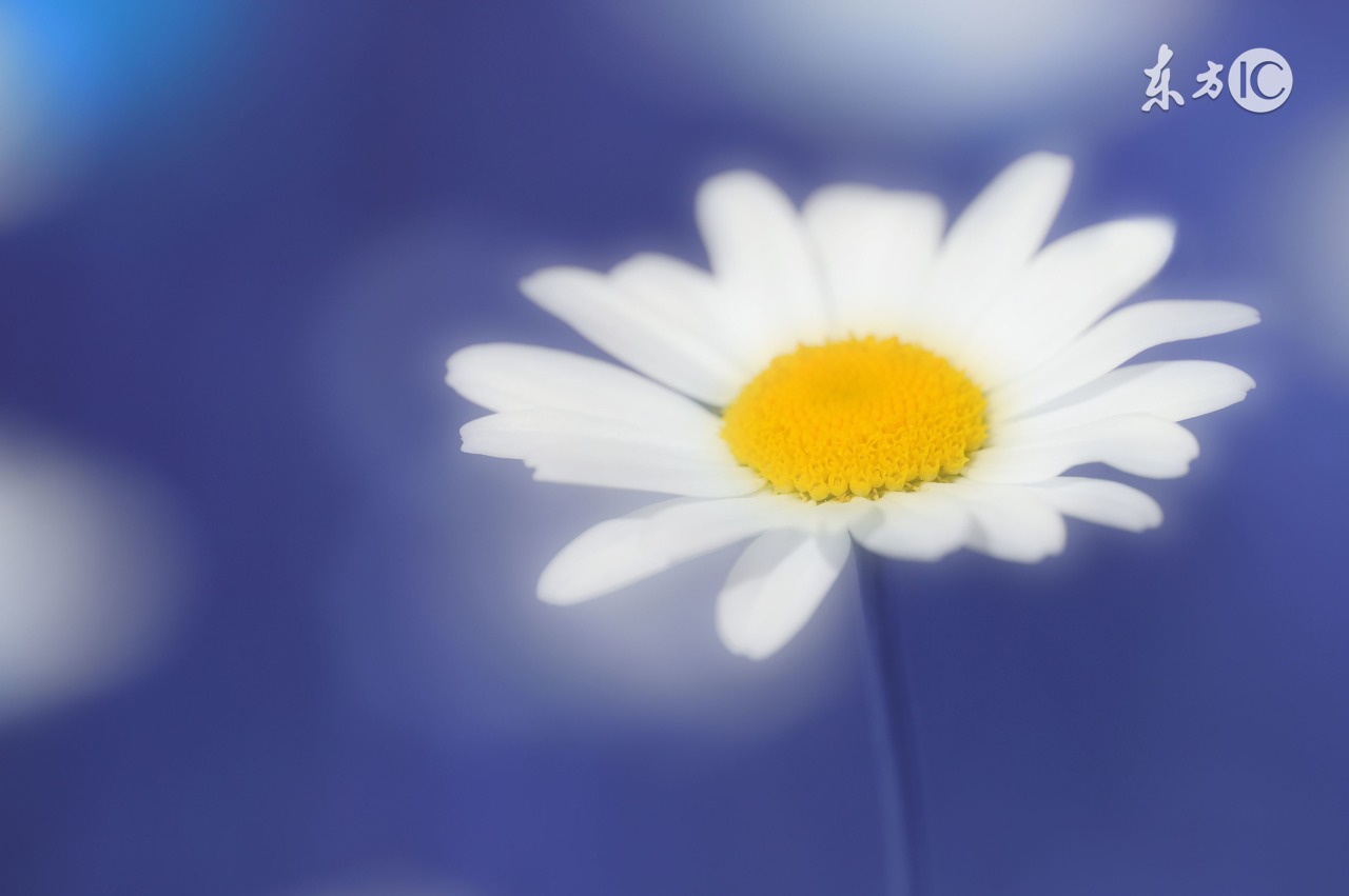 如果想做微商怎么找到正规的商家,想做微商怎么入手