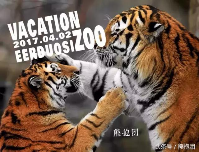 包头这个季节去哪玩,包头自由行旅行攻略最新