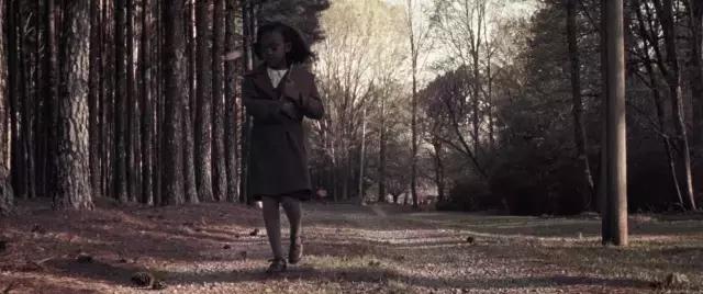 奥斯卡最佳影片遗珠肖申克的救赎,第92届奥斯卡两部遗珠电影