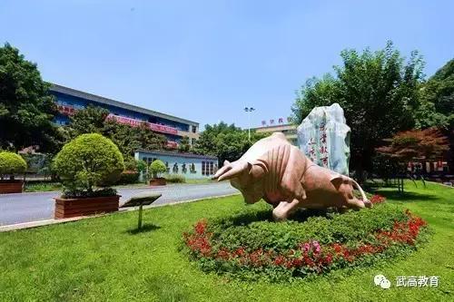 鎴愰兘姝﹂珮鎺掑悕绗嚑,鎴愰兘姝﹂珮