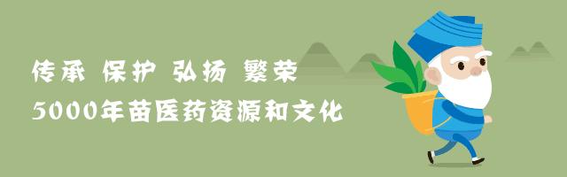 湘西苗寨苗医的药方,湘西苗医拿什么敷痔疮