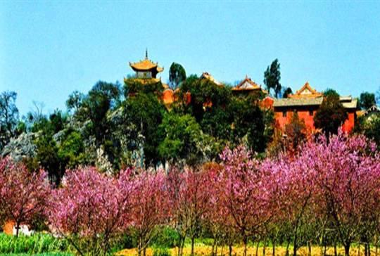 浜戝崡绾㈡渤娉歌タ缇庡コ,浜戝崡娉歌タ鍘跨編濂虫紓浜悧