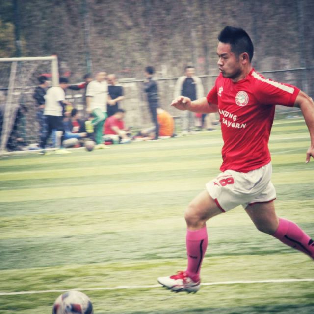 南部之星球迷版,南部之星慕尼黑