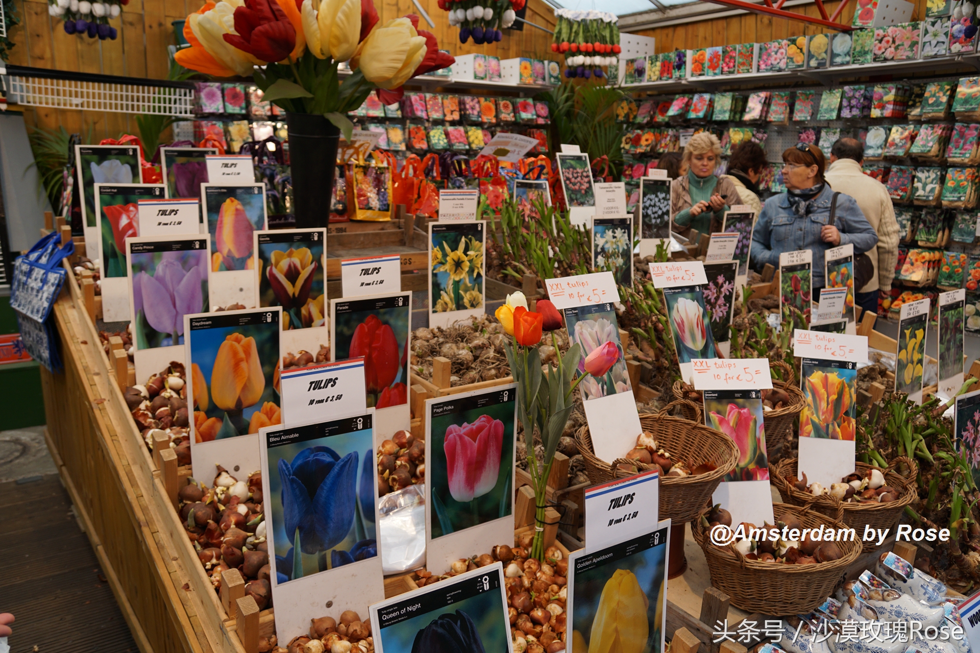 建在水上的鲜花市场，荷兰女王也骑车来买花