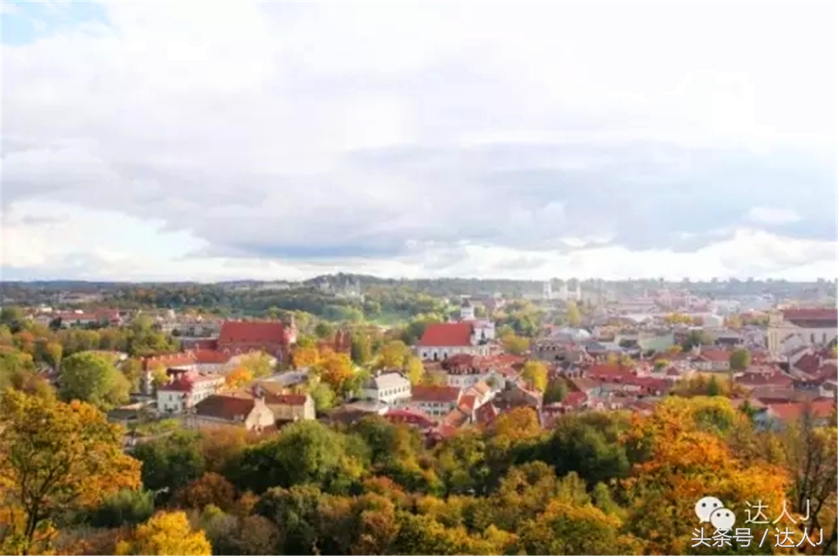 猜猜哪个国家连刺猬都有路牌？