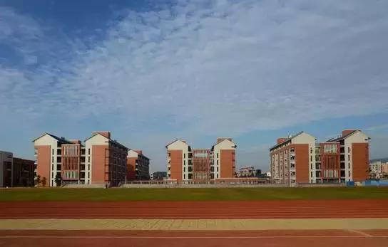 肇庆市全国特色学校,肇庆市足球特色学校