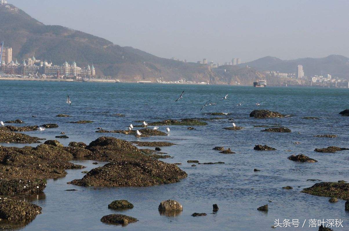 黑石礁海边风景,大连黑石礁异域风情街